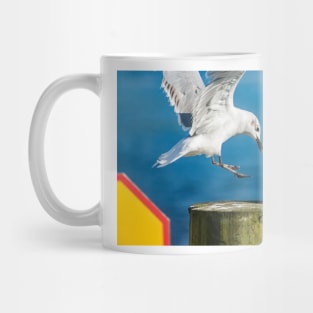 Fighting gull 2 Mug